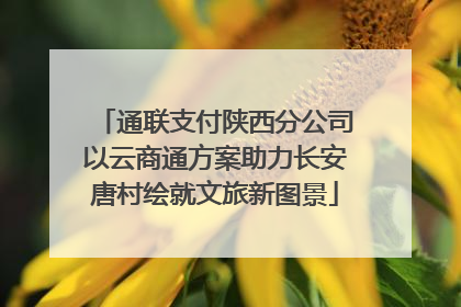 通联支付陕西分公司以云商通方案助力长安唐村绘就文旅新图景