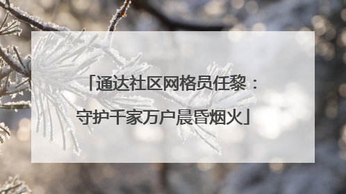 通达社区网格员任黎：守护千家万户晨昏烟火