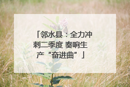邻水县：全力冲刺二季度 奏响生产“奋进曲”