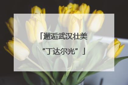邂逅武汉壮美“丁达尔光”