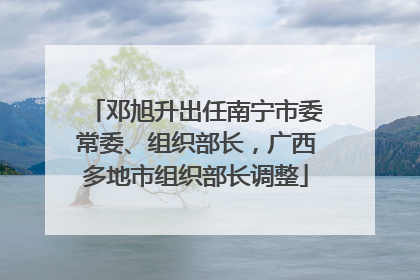 邓旭升出任南宁市委常委、组织部长，广西多地市组织部长调整