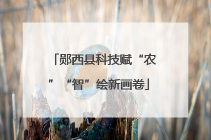 郧西县科技赋“农”“智”绘新画卷