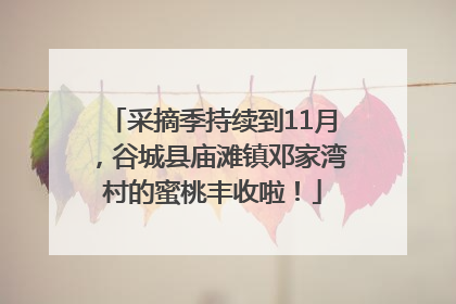 采摘季持续到11月，谷城县庙滩镇邓家湾村的蜜桃丰收啦！