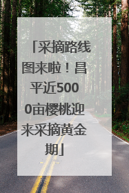 采摘路线图来啦！昌平近5000亩樱桃迎来采摘黄金期
