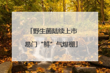 野生菌陆续上市 易门“鲜”气爆棚