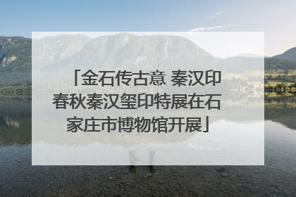 金石传古意 秦汉印春秋秦汉玺印特展在石家庄市博物馆开展
