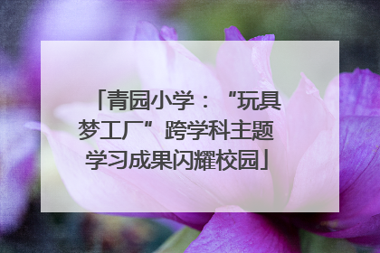 青园小学：“玩具梦工厂”跨学科主题学习成果闪耀校园