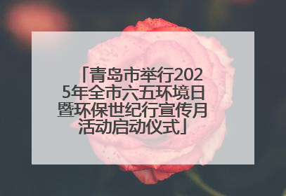 青岛市举行2025年全市六五环境日暨环保世纪行宣传月活动启动仪式