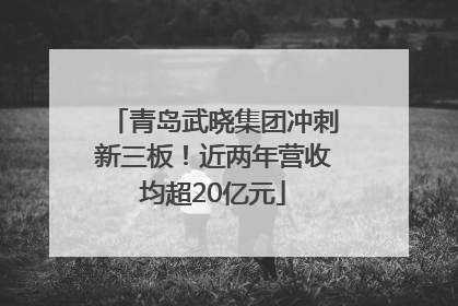 青岛武晓集团冲刺新三板！近两年营收均超20亿元