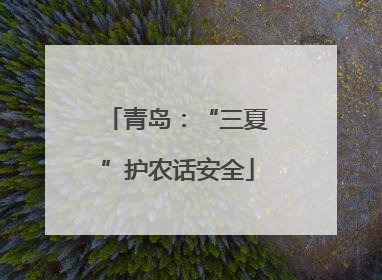 青岛：“三夏”护农话安全