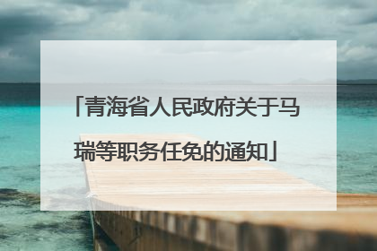 青海省人民政府关于马瑞等职务任免的通知