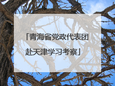 青海省党政代表团赴天津学习考察