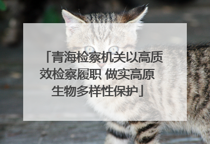 青海检察机关以高质效检察履职 做实高原生物多样性保护