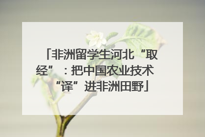 非洲留学生河北“取经”：把中国农业技术“译”进非洲田野