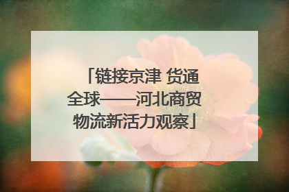 链接京津 货通全球——河北商贸物流新活力观察