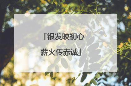 银发映初心 薪火传赤诚