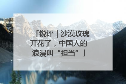 锐评｜沙漠玫瑰开花了，中国人的浪漫叫“担当”