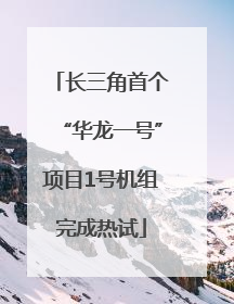 长三角首个“华龙一号”项目1号机组完成热试
