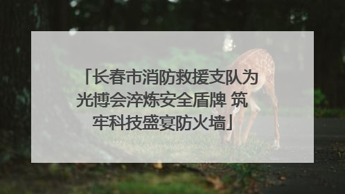 长春市消防救援支队为光博会淬炼安全盾牌 筑牢科技盛宴防火墙