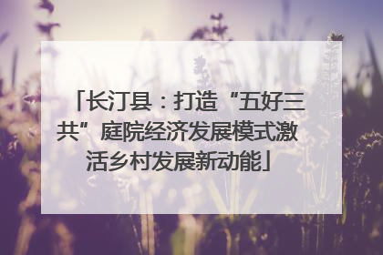 长汀县：打造“五好三共”庭院经济发展模式激活乡村发展新动能