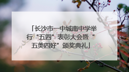 长沙市一中城南中学举行“五四”表彰大会暨“五美四好”颁奖典礼