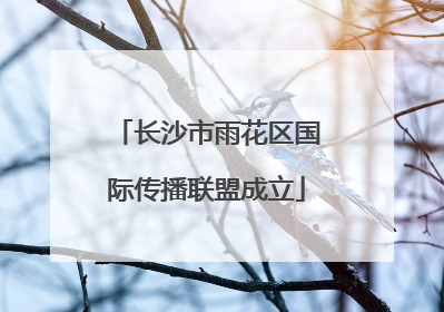 长沙市雨花区国际传播联盟成立