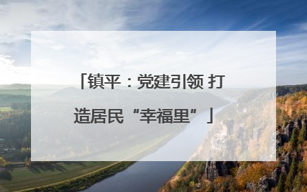 镇平：党建引领 打造居民“幸福里”