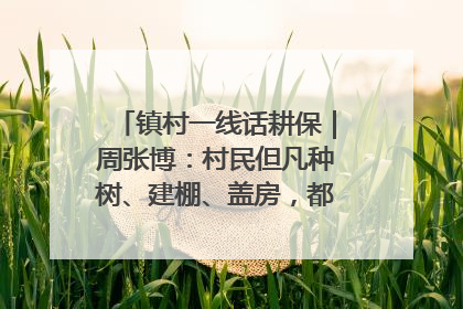 镇村一线话耕保｜周张博：村民但凡种树、建棚、盖房，都要向街道报批