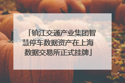 镇江交通产业集团智慧停车数据资产在上海数据交易所正式挂牌