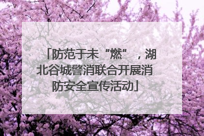 防范于未“燃”，湖北谷城警消联合开展消防安全宣传活动