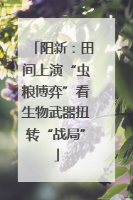 阳新：田间上演“虫粮博弈”看生物武器扭转“战局”