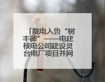 陇电入鲁“树丰碑”——电建核电公司建设灵台电厂项目并网发电侧记