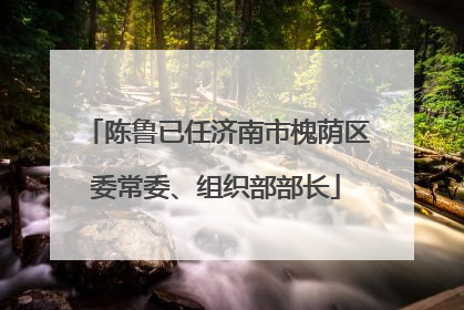 陈鲁已任济南市槐荫区委常委、组织部部长