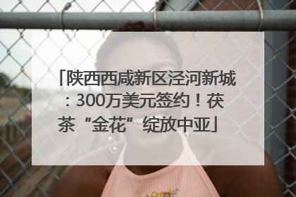 陕西西咸新区泾河新城：300万美元签约！茯茶“金花”绽放中亚