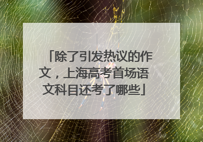 除了引发热议的作文，上海高考首场语文科目还考了哪些