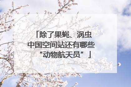 除了果蝇、涡虫 中国空间站还有哪些“动物航天员”