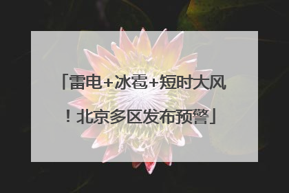 雷电+冰雹+短时大风！北京多区发布预警