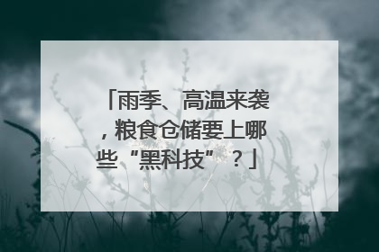 雨季、高温来袭，粮食仓储要上哪些“黑科技”？