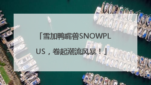 雪加鸭嘴兽SNOWPLUS，卷起潮流风暴！