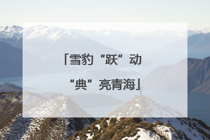 雪豹“跃”动 “典”亮青海