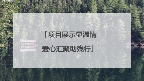 项目展示显温情 爱心汇聚助残行