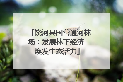 饶河县国营通河林场：发展林下经济 焕发生态活力
