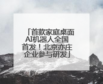 首款家庭桌面AI机器人全国首发！北京亦庄企业参与研发