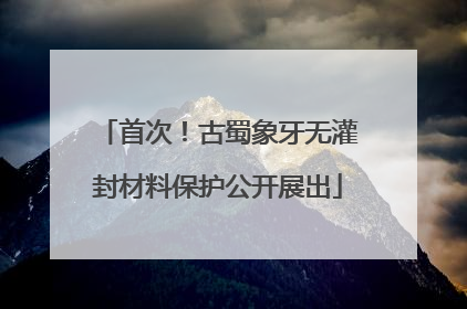 首次！古蜀象牙无灌封材料保护公开展出