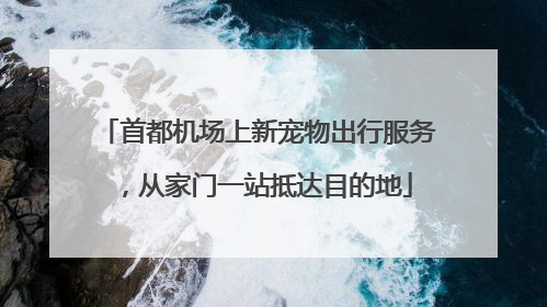 首都机场上新宠物出行服务，从家门一站抵达目的地