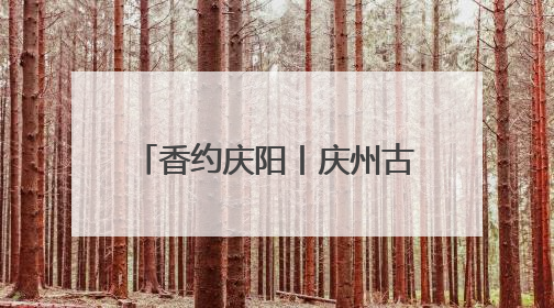 香约庆阳丨庆州古城：千年古韵与现代魅力的完美融合