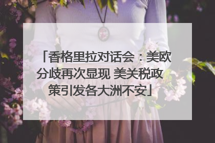 香格里拉对话会：美欧分歧再次显现 美关税政策引发各大洲不安
