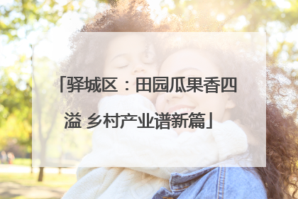 驿城区：田园瓜果香四溢 乡村产业谱新篇