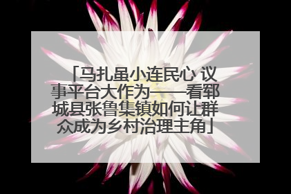 马扎虽小连民心 议事平台大作为——看郓城县张鲁集镇如何让群众成为乡村治理主角