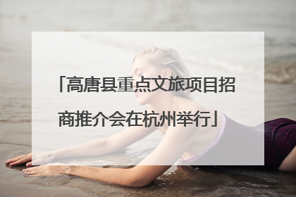 高唐县重点文旅项目招商推介会在杭州举行